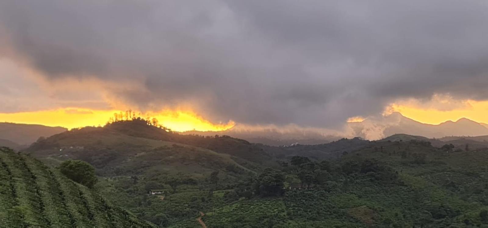 Vaga Mist Resort Vagamon Idukki Extérieur photo